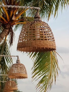 Rustic bamboo lampshades illuminate tropical palm setting, blending natural craftsmanship with coastal outdoor ambiance.