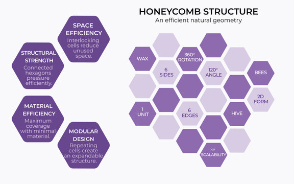 Honeycomb Geometry Infographic &ndash; Natural Hexagonal Structure, Space and Material Efficiency