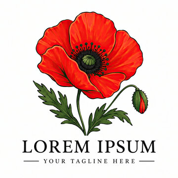 Beautiful red poppy flower drawing with green leaves and text placeholder