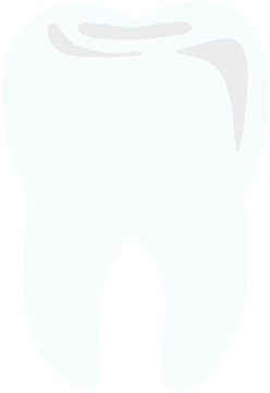 vector tooth icon