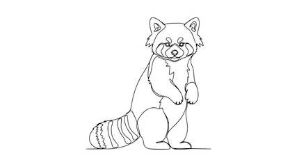 Fototapeta premium Red Panda One Line Drawing, Isolated Animal Illustration