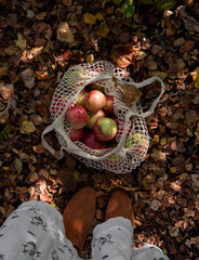 Plakat A woman in a muslin dress, suede shoes, and a string bag with apples on the autumn leaves in the garden