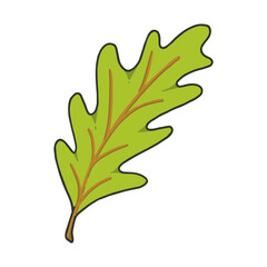 Fototapeta premium Hand drawn green autumn oak leaf vector illustration isolated on transparent background, perfect for fall and botanical designs.