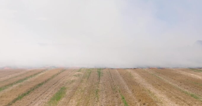 Drone shot captures misty farmland with crop rows