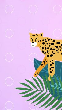 Animation of leopard and tropical plant leaves on pink striped background