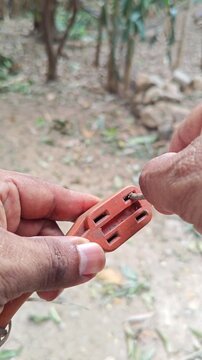 Hands Cleaning Dust from Orange Electrical Extension Cord Plug