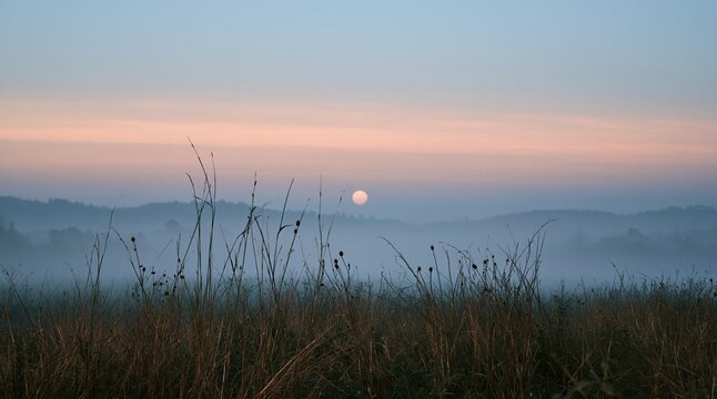 Foggy sunrise over rolling hills with tall grasses