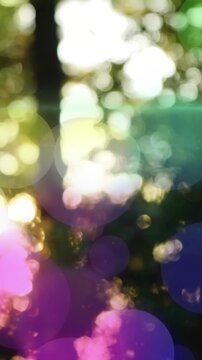 Animation of colorful bokeh lights overlaying blurred trees in bright sunlight