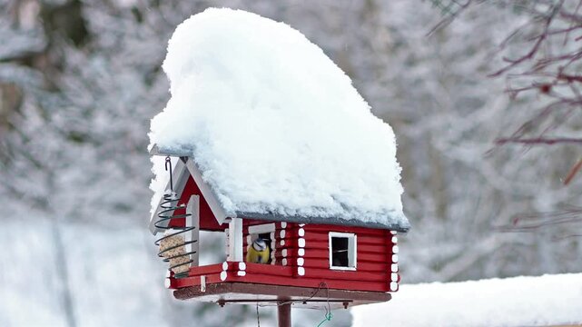A flock of titmice feeds in a snowy birdhouse with a feeder in winter landscape