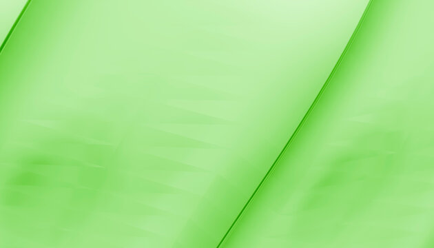 Detailed macro close-up of a green leaf's natural veins and texture