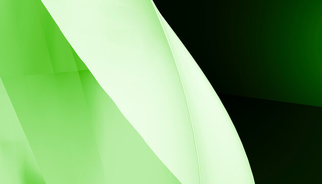 Green abstract geometric shapes with curved surfaces and light