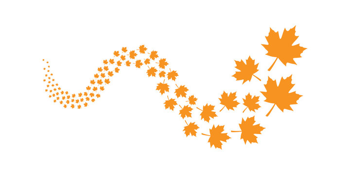 Swirling autumn maple leaves forming a dynamic wave pattern isolated on a clean white background