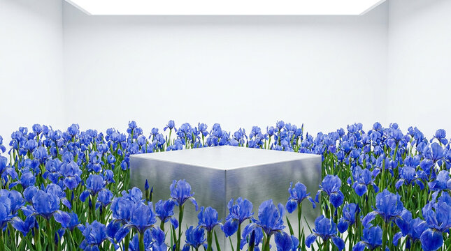 Beautiful wide environmental view photography of a Brushed Silver polished concrete floating pedestal podium surrounded by vibrant blue irises under bright high-key studio lighting. 