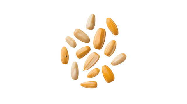 Fresh organic sunflower seeds arranged in a scattered composition displayed isolated on transparent background
