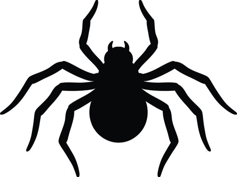 Spider silhouette vector. Halloween spider vector icon