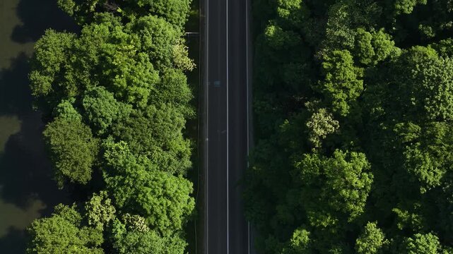 Birdseye Drone View of Countryside Road Traffic, River and Forest on Sunny Summer Day
