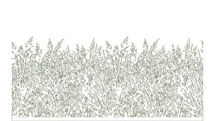 Fototapeta premium bush grass shrub vector on white background. Stroke vector illustration