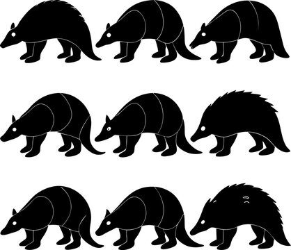 A collection of nine black and white silhouette depicting armadillos in various poses, isolated on white background