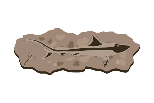 Prehistoric Fish Fossil Vector Illustration on Earth Tone Stone Slab