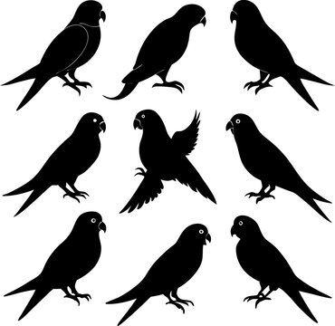 Collection of nine black silhouettes of parrots in various poses isolated on a white background, for projects