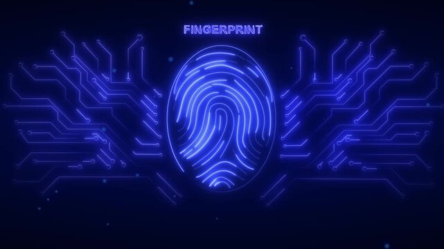 Fingerprint scan animation pulses in dynamic blue lines. Biometric security runs this fingerprint scan animation. Digital data guards the fingerprint scan animation.