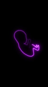 Baby unborn fetus animation displays purple neon line graphics Unborn fetus baby medical symbol highlights obstetrics embryonic growth Fetus sequence is sleek
