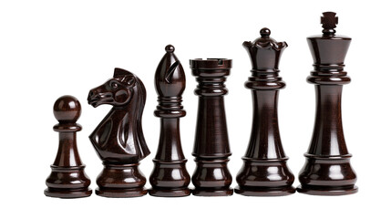 Polished dark brown wooden chess pieces set including king queen rook bishop knight © Lubos