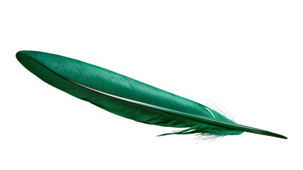 Vibrant emerald green bird feather with detailed barbs and central quill © Lubos