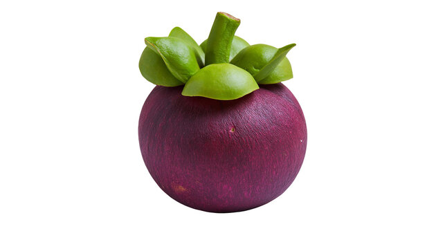 Fresh whole purple mangosteen fruit with green stem and sepals