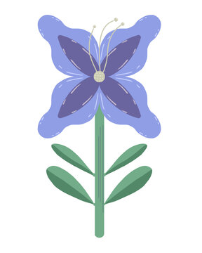 blue iris flower
