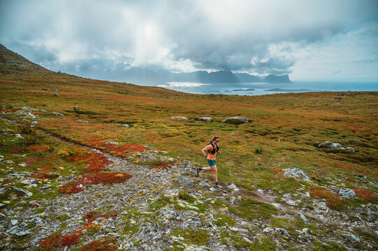 Man trail running across a vast autumn tundra
