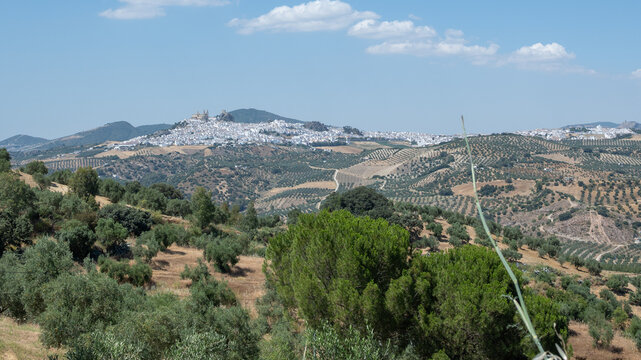 Vista alejada de la hermosa villa de Olvera, dentro de la ruta de pueblos blancos de Andaluc&iacute;a, Espa&ntilde;a