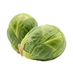 Fototapeta premium Two fresh Brussels sprouts isolated on a dark background