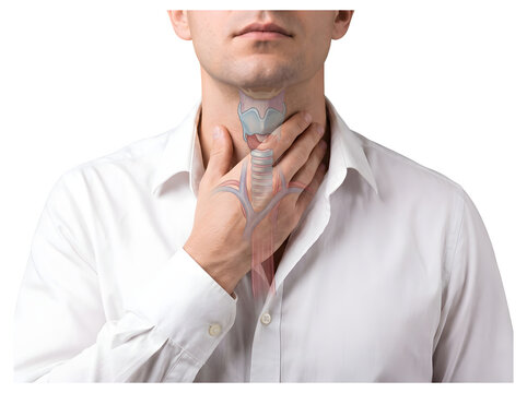 Man holding sore throat showing larynx cartilage and vocal cords anatomy