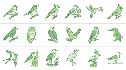 Fototapeta premium Set of wild bird line art icons, hand drawn green avian illustrations on white background. 