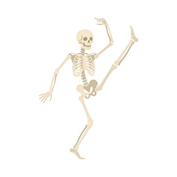 Funny Dancing Skeleton Character Illustration for Halloween