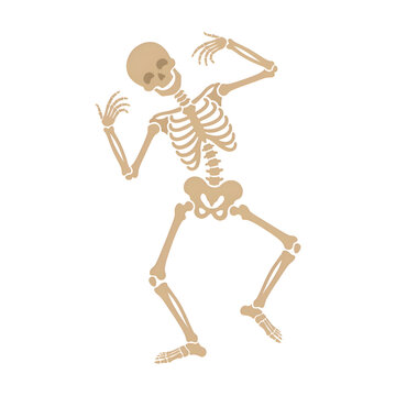 Funny Dancing Human Skeleton Character Graphic Illustration