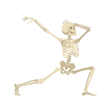 Funny Human Skeleton Dancing in Lunge Pose Isolated on Black