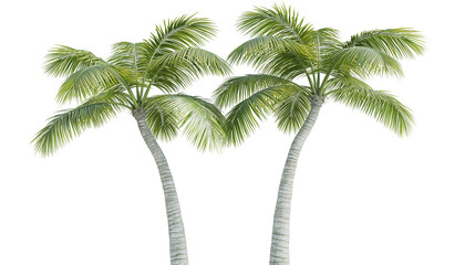 Two tall green palm trees with textured grey trunks and lush fronds © Gael