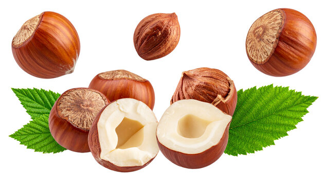 Falling whole and halved hazelnuts, natural motion, isolated on transparent background