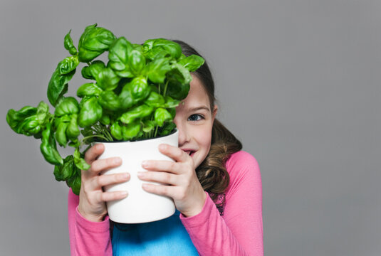Girl holding basil plant