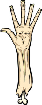 Vector illustration of a creepy severed cartoon zombie undead hand reaching up gesture