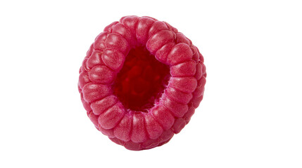Single fresh ripe red raspberry fruit with textured surface © Elvin