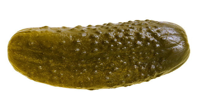 Whole crunchy green pickled cucumber with bumpy skin texture
