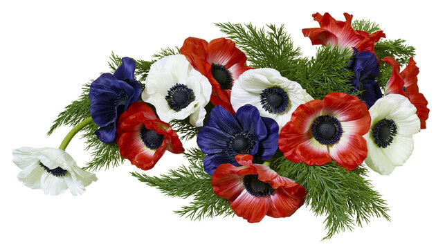 Red white and blue anemone flower bouquet with green fern foliage