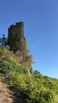 selective focus on medieval castle ruin above vineyard landscape in Bacharach