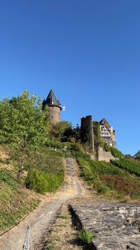 selective focus on historic castle ruins above a vineyard path in Bacharach