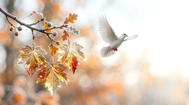 White dove flying through frosted autumn oak leaves in golden morning light, symbolizing peace and freedom in a conceptual nature scene
