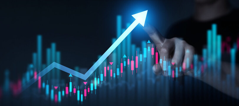 Business strategy development and growing growth plan. Investment of growth on currency rate.	
