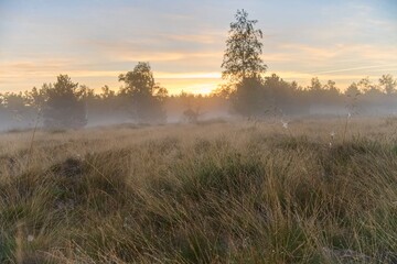 promienie słońca oświetlające łąkę  © pinus25